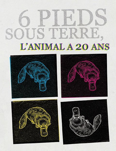 6 pieds sous terre : l’animal a 20 ans img1